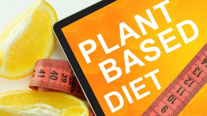 What is a Plant-Based Diet